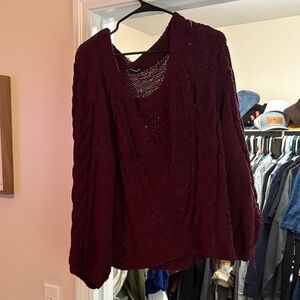 Express Deep Burgundy V-Neck Sweater